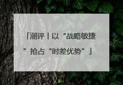 潮评丨以“战略敏捷”抢占“时差优势”