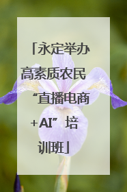 永定举办高素质农民“直播电商+AI”培训班