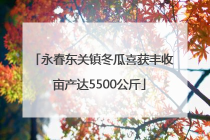 永春东关镇冬瓜喜获丰收 亩产达5500公斤