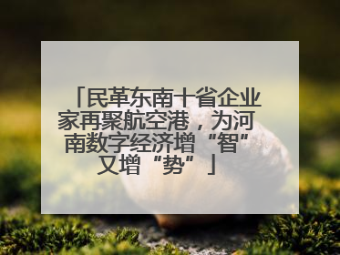 民革东南十省企业家再聚航空港，为河南数字经济增“智”又增“势”