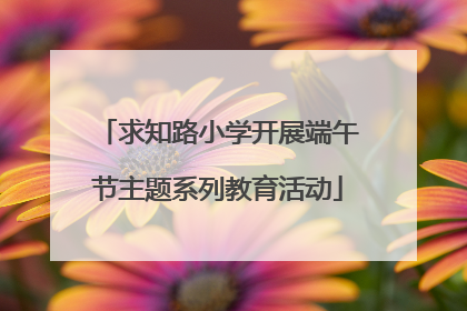 求知路小学开展端午节主题系列教育活动