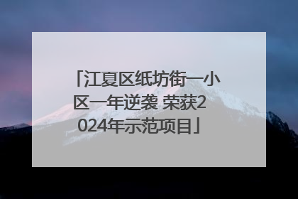 江夏区纸坊街一小区一年逆袭 荣获2024年示范项目