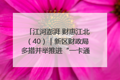 江河澎湃 财惠江北（40）｜新区财政局多措并举推进“一卡通”管理 保障惠民惠农补贴精准高效发放