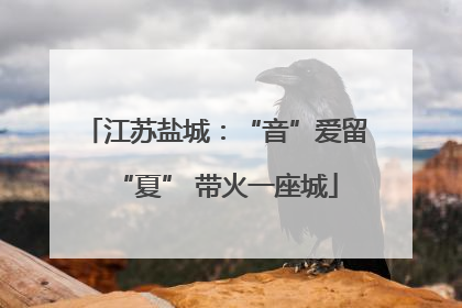 江苏盐城：“音”爱留“夏” 带火一座城