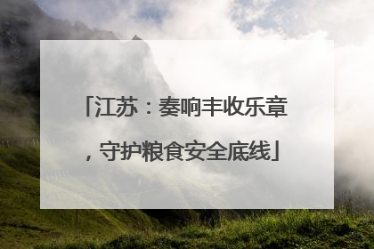 江苏：奏响丰收乐章，守护粮食安全底线