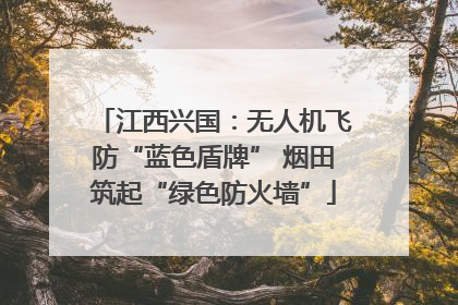 江西兴国：无人机飞防“蓝色盾牌” 烟田筑起“绿色防火墙”