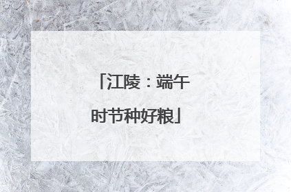 江陵：端午时节种好粮
