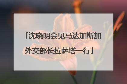 沈晓明会见马达加斯加外交部长拉萨塔一行