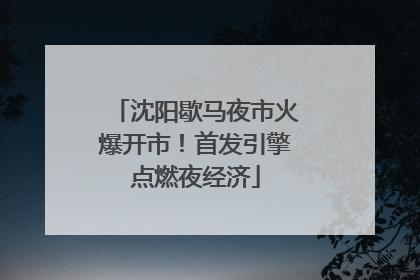 沈阳歇马夜市火爆开市！首发引擎点燃夜经济