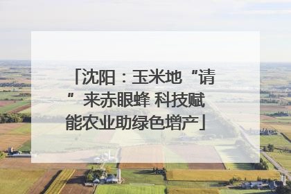 沈阳：玉米地“请”来赤眼蜂 科技赋能农业助绿色增产
