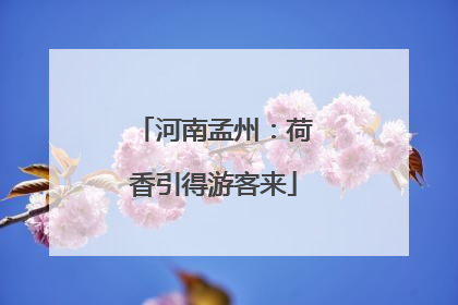 河南孟州：荷香引得游客来