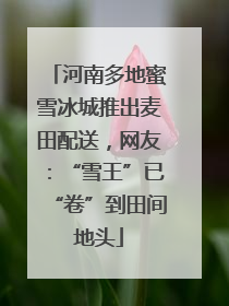 河南多地蜜雪冰城推出麦田配送，网友：“雪王”已“卷”到田间地头