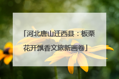河北唐山迁西县：板栗花开飘香文旅新画卷