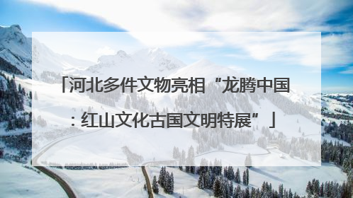河北多件文物亮相“龙腾中国：红山文化古国文明特展”
