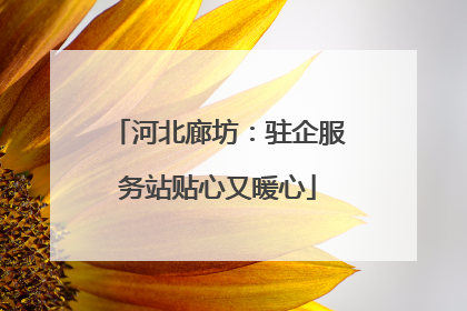 河北廊坊：驻企服务站贴心又暖心