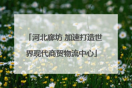 河北廊坊 加速打造世界现代商贸物流中心