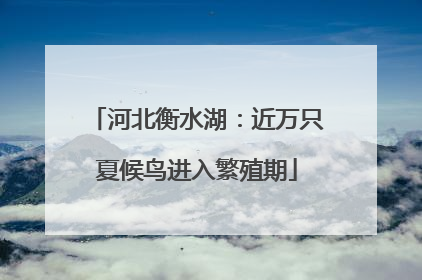 河北衡水湖：近万只夏候鸟进入繁殖期