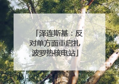 泽连斯基：反对单方面重启扎波罗热核电站