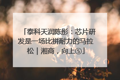泰科天润陈彤：芯片研发是一场比拼耐力的马拉松｜湘商，向上⑤