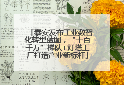 泰安发布工业数智化转型蓝图，“十百千万”梯队+灯塔工厂打造产业新标杆
