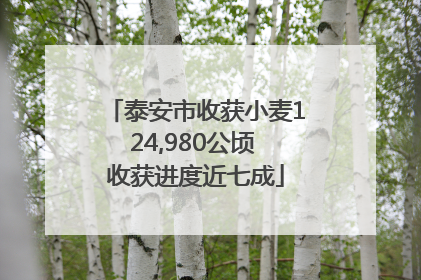 泰安市收获小麦124,980公顷 收获进度近七成