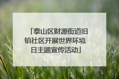 泰山区财源街道旧镇社区开展世界环境日主题宣传活动