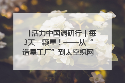 活力中国调研行｜每3天一颗星！——从“造星工厂”到太空织网的“银河速度”