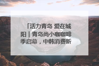 活力青岛 爱在城阳｜青岛尚小咖咖啡季启幕，中韩消费新场景点燃夏日热情