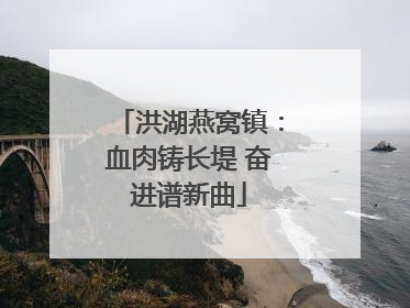 洪湖燕窝镇：血肉铸长堤 奋进谱新曲