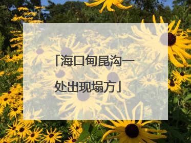 海口甸昆沟一处出现塌方