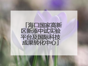 海口国家高新区新添中试实验平台及国际科技成果转化中心