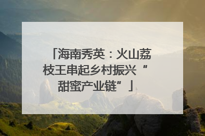 海南秀英：火山荔枝王串起乡村振兴“甜蜜产业链”