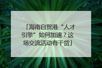 海南自贸港“人才引擎”如何加速？这场交流活动有干货