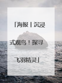 海报丨沉浸式观鸟！探寻飞羽精灵