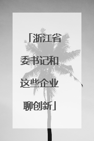 浙江省委书记和这些企业聊创新