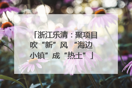浙江乐清：聚项目吹“新”风 “海边小镇”成“热土”