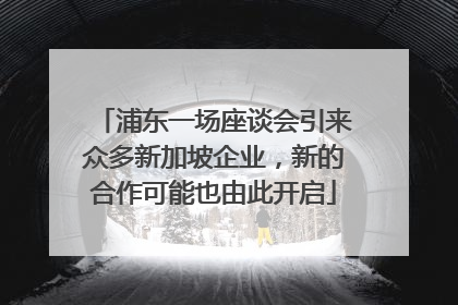 浦东一场座谈会引来众多新加坡企业，新的合作可能也由此开启
