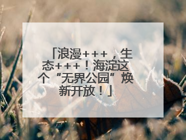 浪漫+++，生态+++！海淀这个“无界公园”焕新开放！