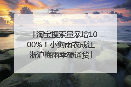 淘宝搜索量暴增1000%！小狗雨衣成江浙沪梅雨季硬通货