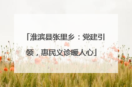 淮滨县张里乡：党建引领，惠民义诊暖人心