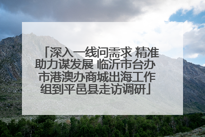 深入一线问需求 精准助力谋发展 临沂市台办 市港澳办商城出海工作组到平邑县走访调研