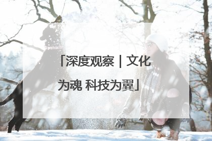 深度观察｜文化为魂 科技为翼