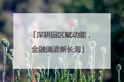 深耕园区赋动能，金融滴灌新长海