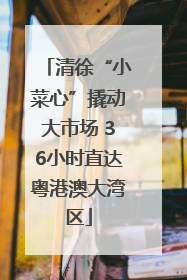 清徐“小菜心”撬动大市场 36小时直达粤港澳大湾区