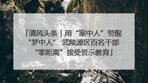 清风头条｜用“案中人”警醒“梦中人” 武陵源区百名干部“零距离”接受警示教育