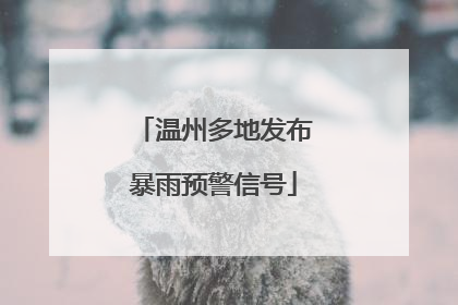 温州多地发布暴雨预警信号