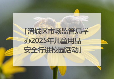 渭城区市场监管局举办2025年儿童用品安全行进校园活动