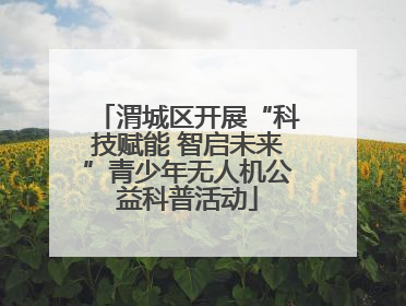 渭城区开展“科技赋能 智启未来”青少年无人机公益科普活动