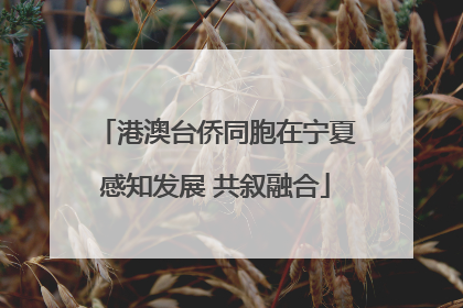 港澳台侨同胞在宁夏感知发展 共叙融合