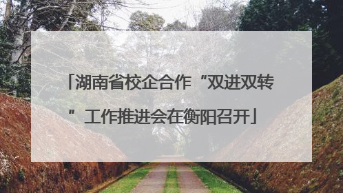 湖南省校企合作“双进双转”工作推进会在衡阳召开